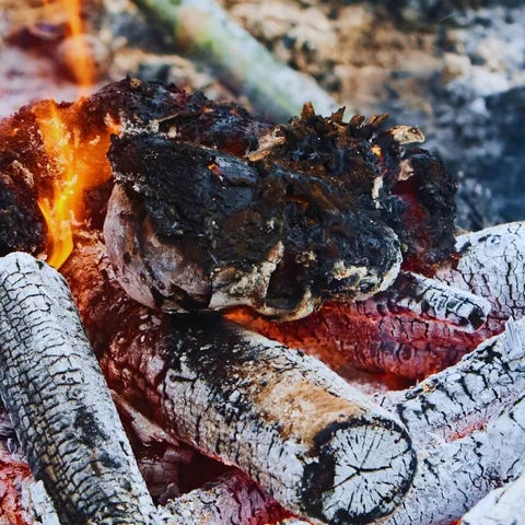 Cremation